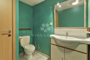 Appartement Duplex viager