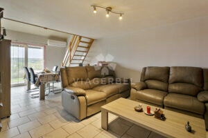 Appartement Duplex viager