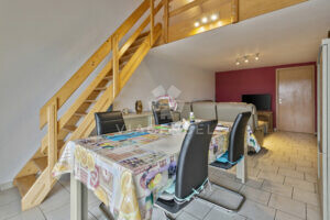 Appartement Duplex viager