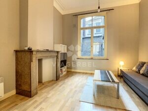 Viager libre Saint-Gilles