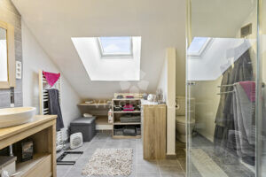 viager Silly immobilier Wallonie Hainaut
