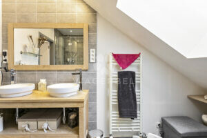 viager Silly immobilier Wallonie Hainaut