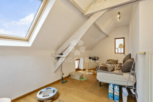 viager Silly immobilier Wallonie Hainaut