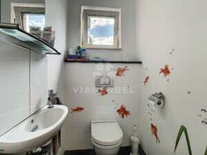 Viager Flémalle