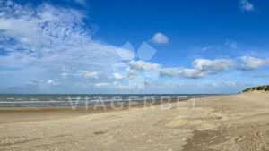 Viager Coxyde