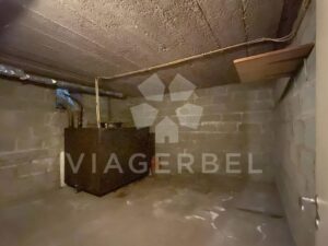maison viager libre Sambreville Tamines Namur Wallonie