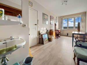 appartement viager Bruxelles Viagerbel