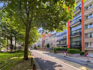 viager libre_Appartement duplex Terrasse Sud